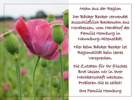 Backmohn aus Nordhessen